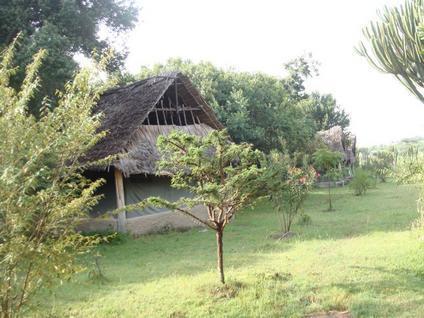 Enchoro Wildlife Camp Masai Mara Hotel Narok Kültér fotó